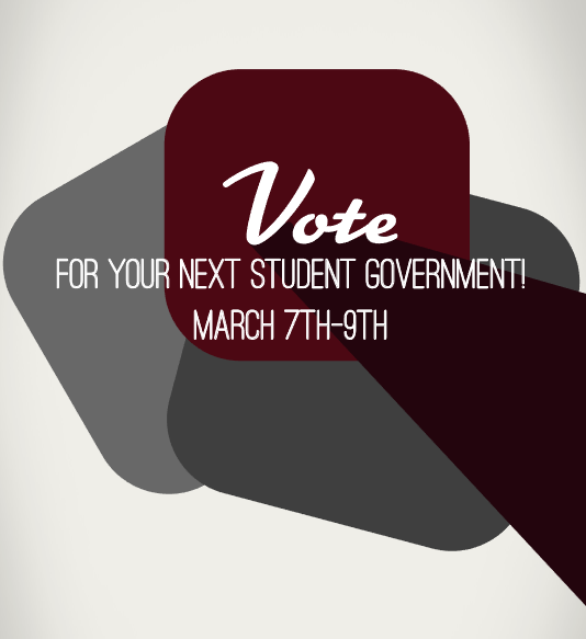 Student Government Voting
