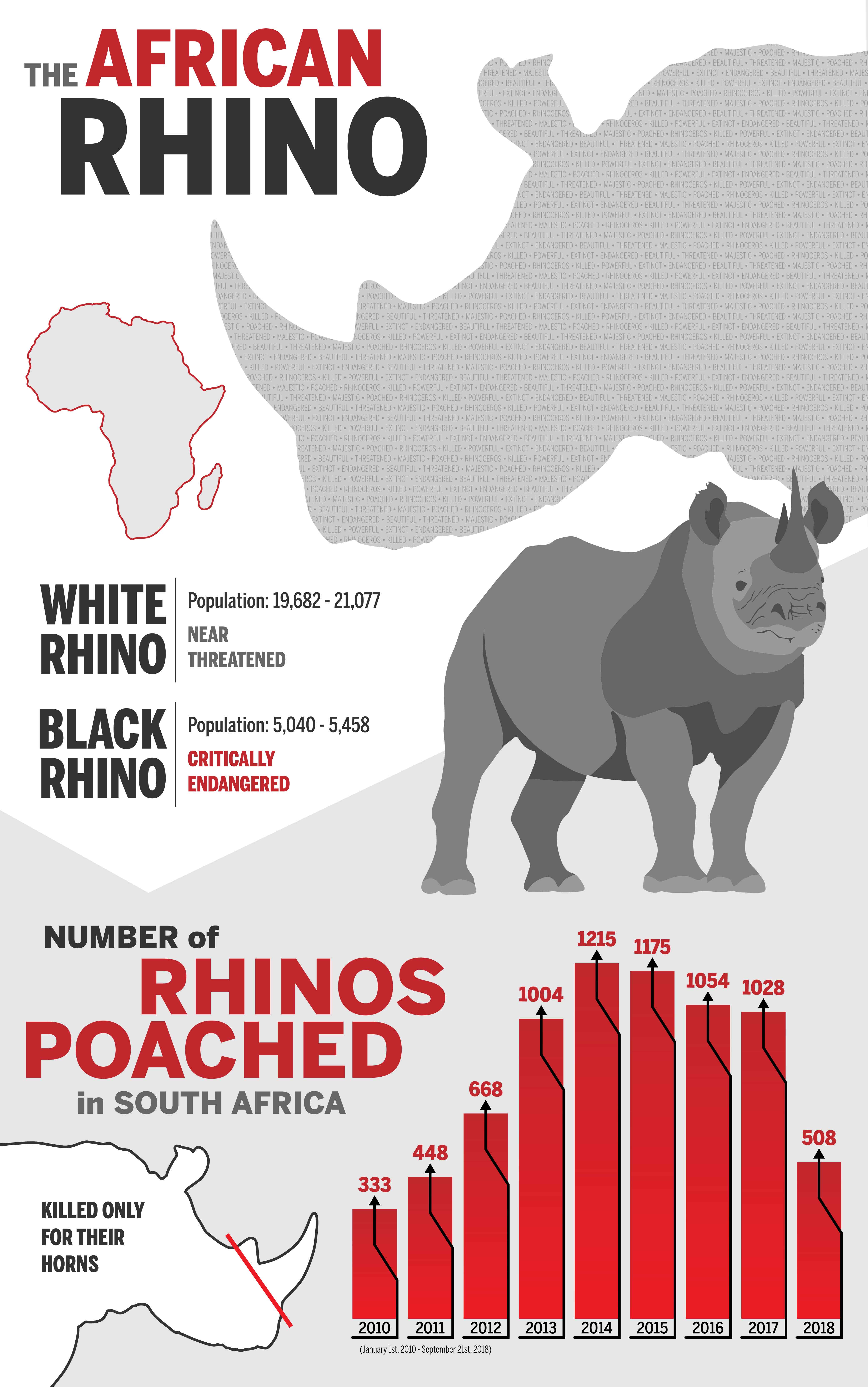 Rhino Poaching Infographic