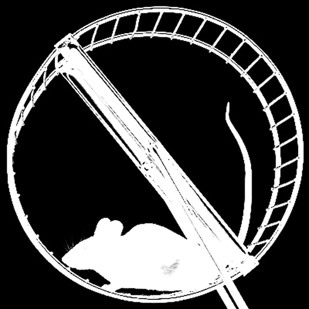 mouse on wheel