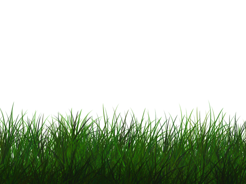 grass