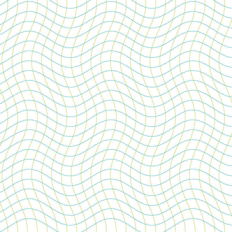 Warped Grid 3