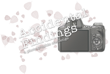 Accidental Findings logo