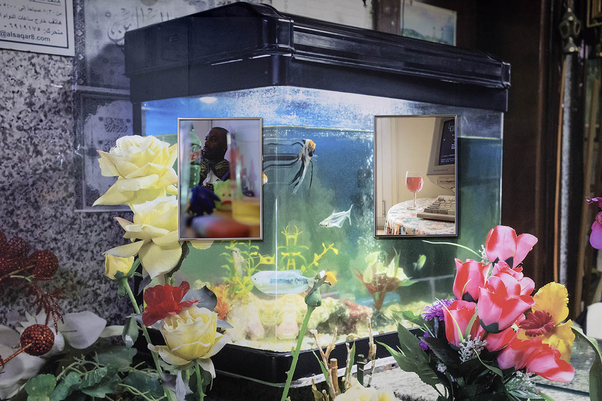 Fara Al Quasimi: Aquerium