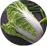 Napa Cabbage