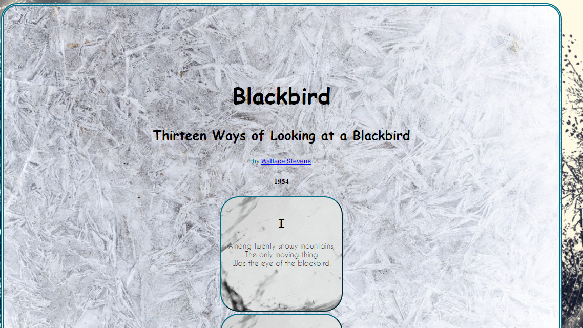 website screencap